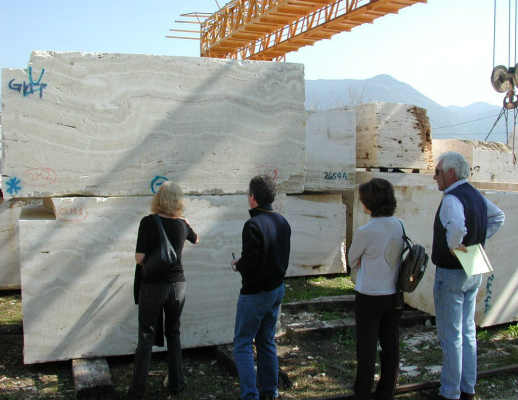 Site Consultation Service